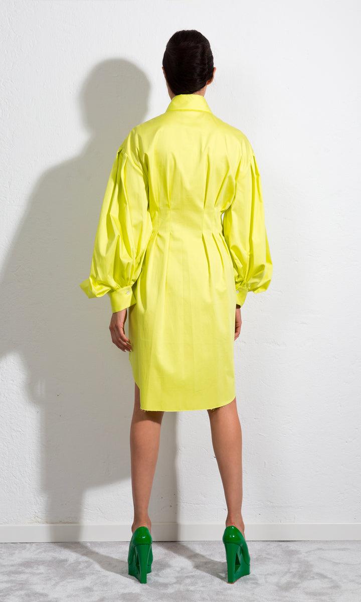 Sara Battaglia Butterfly Dress 2025