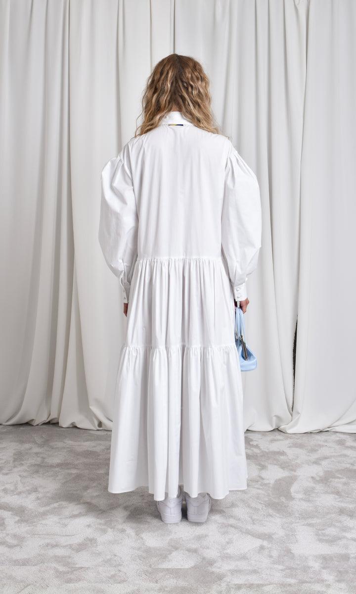 Sara Battaglia Maxi chemisier dress Presa