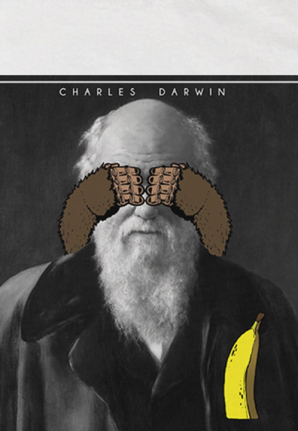 Seetees Darwin Promozione