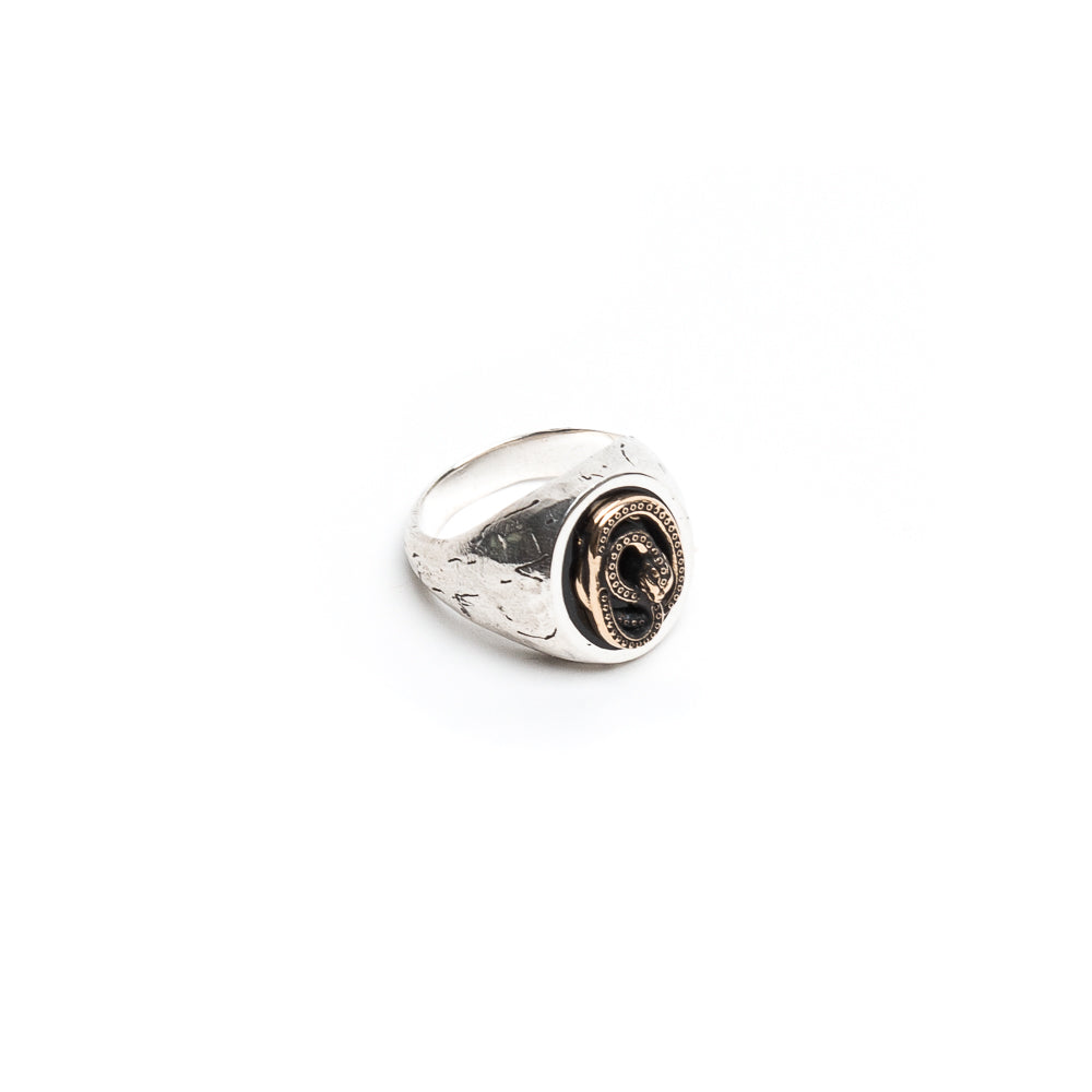 D'AMICO Anello Serpente Liquidazione